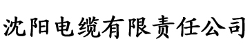 www.2iiii.com电缆厂logo